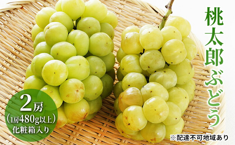 【ふるさと納税】ぶどう 2026年 先行予約 桃太郎 ぶどう 2房（1房480g以上）化粧箱入り ブドウ 葡萄 岡山県産 国産 フルーツ 果物 ギフト 大粒 種なし 果汁たっぷり 酸味 甘さ バランス 　お届け：2026年7月下旬～2026年9月下旬 サムネイル2