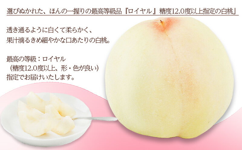 【ふるさと納税】桃 2026年 先行予約 白桃 6玉 （1玉300g以上） 等級：ロイヤル 化粧箱入り もも モモ 岡山県産 国産 フルーツ 果物 ギフト 贈答品 糖度12.0度以上 　お届け：2026年7月上旬～2026年8月上旬 サムネイル3