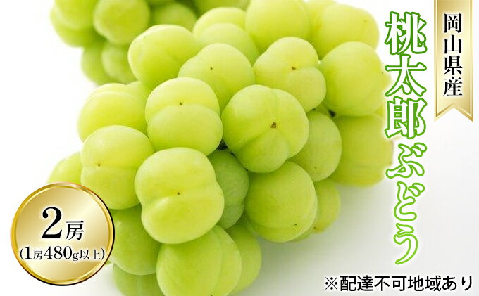 【ふるさと納税】ぶどう 2026年 先行予約 桃太郎 ぶどう 2房（1房 480g以上 ハウス栽培）贈答用 ブドウ 葡萄 岡山県産 国産 フルーツ 果物 ギフト 岡山の葡萄 　お届け：2026年7月上旬～2026年8月中旬 サムネイル2