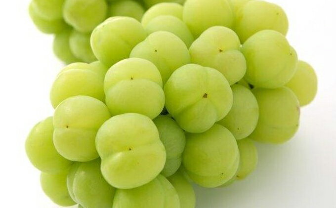 【ふるさと納税】ぶどう 2026年 先行予約 桃太郎 ぶどう 2房（1房 480g以上 ハウス栽培）贈答用 ブドウ 葡萄 岡山県産 国産 フルーツ 果物 ギフト 岡山の葡萄 　お届け：2026年7月上旬～2026年8月中旬 サムネイル3