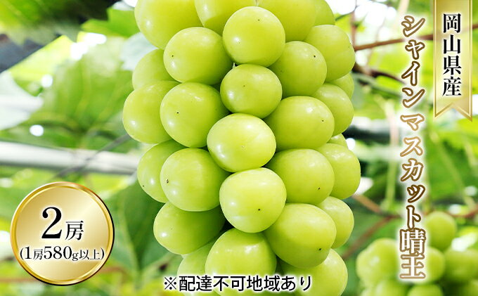 【ふるさと納税】ぶどう 2026年 先行予約 シャイン マスカット 晴王 2房入り（1房 580g以上 露地栽培） ブドウ 葡萄 岡山県産 国産 フルーツ 果物 ギフト 岡山の葡萄 　お届け：2026年9月上旬～2026年10月中旬 サムネイル2