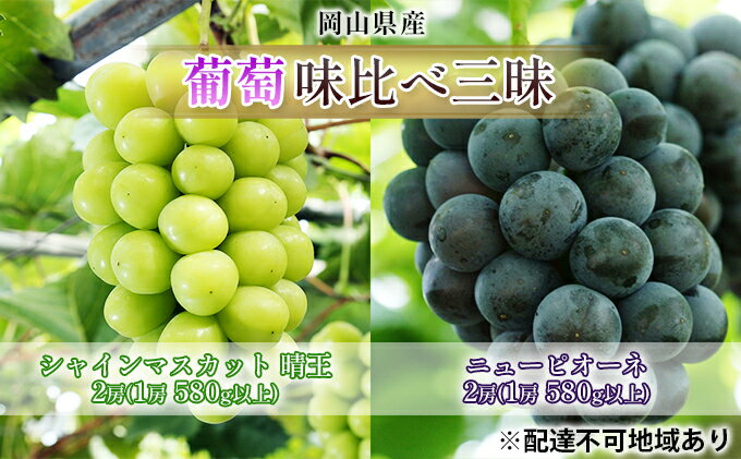 【ふるさと納税】ぶどう 2026年 先行予約 味比べ三昧 シャイン マスカット 晴王 2房 ニュー ピオーネ 2房 （各1房 580g以上） 詰合せ 果物 フルーツ 2品種 　お届け：2026年9月上旬～2026年10月中旬 サムネイル2