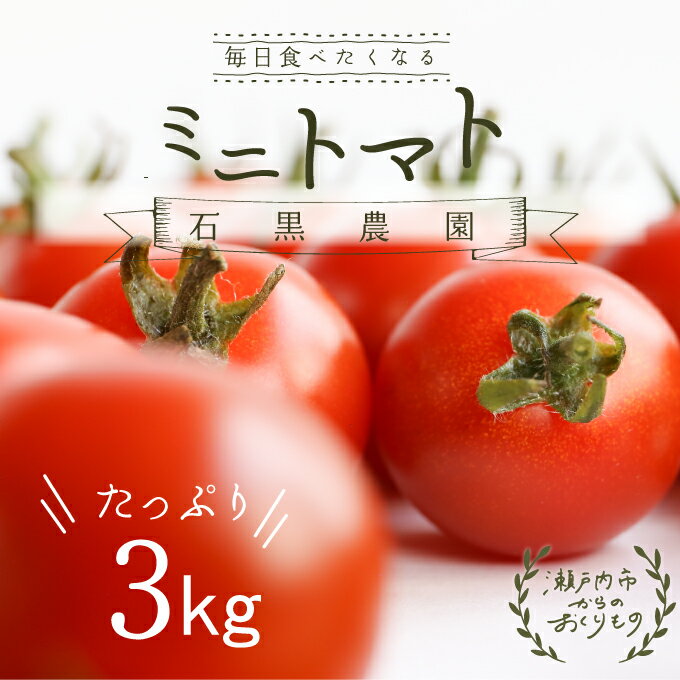 【ふるさと納税】毎日食べたい石黒さんちの ミニトマト たっぷり 3kg 岡山県 瀬戸内市産 石黒農園【配達不可：離島】 野菜 緑黄色野菜 サラダ 付け合わせ 有機肥料 　お届け：2025年12月中旬～2026年6月中旬まで - 画像2