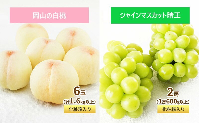 【ふるさと納税】フルーツ 定期便 2026年 先行予約 フルーツ王国 岡山 ベストセレクト 2回コース 桃 もも 葡萄 ぶどう マスカット 岡山県産 国産 果物 セット ギフト 柔らかい 甘い 酸味 高級 香り 風味 　お届け：2026年7月上旬～2026年8月下旬 サムネイル3