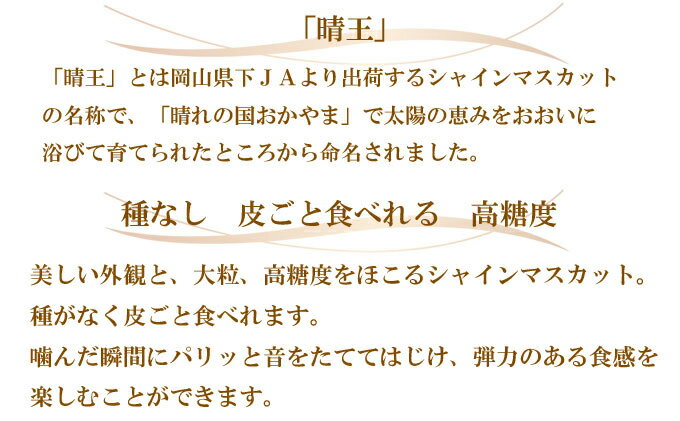 【ふるさと納税】8月下旬～11月下旬 約400g×2房 2025年 先行予約 シャイン マスカット 晴王 ぶどう ブドウ 葡萄 岡山県産 国産 フルーツ 果物 岡山のぶどう 旬のフルーツ 旬の果物 大粒 種無し ご家庭用　お届け：2025年8月下旬～2025年11月下旬 サムネイル3