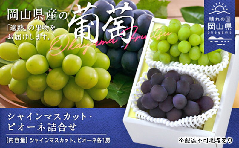 【ふるさと納税】ぶどう 2026年 先行予約 果物 詰合せ シャイン マスカット 1房 ニュー ピオーネ 1房 合計約1.0kg ブドウ 葡萄 岡山県産 国産 フルーツ 果物 ギフト　お届け：2026年8月下旬～2026年10月中旬 サムネイル2