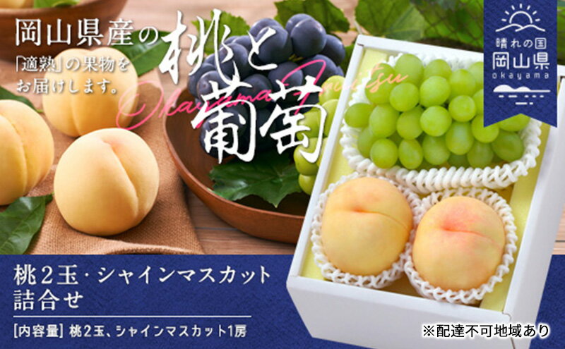 【ふるさと納税】桃 ぶどう 2026年 白桃 晩生種 2玉 シャイン マスカット 1房 合計約1.0kg もも 葡萄 岡山県産 国産 フルーツ 果物 ギフト　お届け：2026年8月下旬～2026年9月中旬 サムネイル2