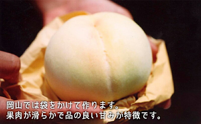 【ふるさと納税】桃 ぶどう 2026年 白桃 晩生種 2玉 シャイン マスカット 1房 合計約1.0kg もも 葡萄 岡山県産 国産 フルーツ 果物 ギフト　お届け：2026年8月下旬～2026年9月中旬 サムネイル3