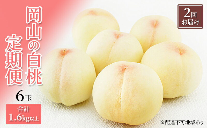 【ふるさと納税】桃 定期便 2026年 先行予約 岡山 の 白桃 6玉 合計1.6kg以上×2回 お届け 化粧箱入り もも モモ 岡山産 国産 フルーツ 果物 ギフト 　お届け：2026年7月上旬～2026年8月上旬 サムネイル2