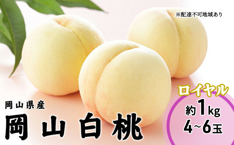 【ふるさと納税】桃 2026年 先行予約 岡山 白桃 ロイヤル 4～6玉 1kg 岡山県産 JAおかやまのもも モモ 岡山県産 国産 フルーツ 果物 ギフト 　お届け：2026年7月上旬～2026年8月下旬 サムネイル2