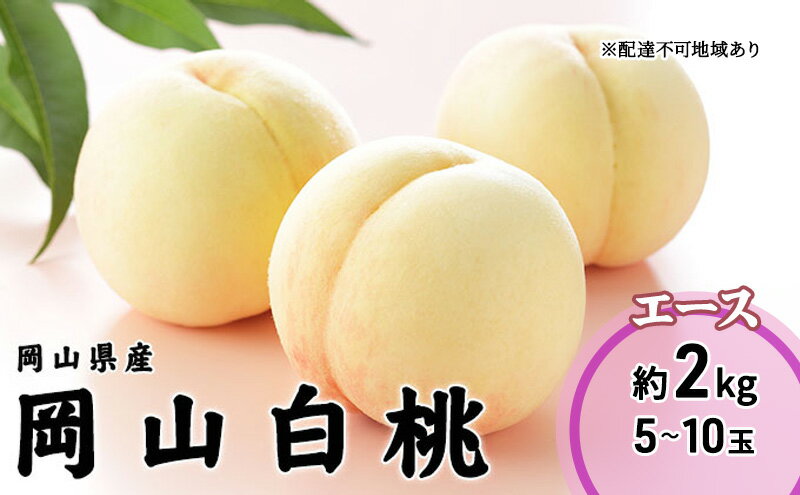 【ふるさと納税】桃 2026年 先行予約 岡山 白桃 エース 5～10玉 2kg 岡山県産 JAおかやまのもも モモ 岡山県産 国産 フルーツ 果物 ギフト 　お届け：2026年7月上旬～2026年8月下旬 サムネイル2