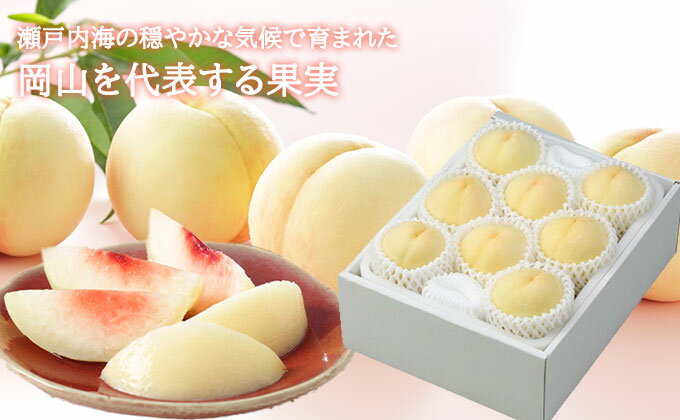 【ふるさと納税】桃 2026年 先行予約 岡山 白桃 エース 5～10玉 2kg 岡山県産 JAおかやまのもも モモ 岡山県産 国産 フルーツ 果物 ギフト 　お届け：2026年7月上旬～2026年8月下旬 サムネイル3