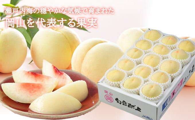 【ふるさと納税】桃 2026年 先行予約 岡山 白桃 ロイヤル 8～16玉 4.0kg 岡山県産 JAおかやまのもも モモ 岡山県産 国産 フルーツ 果物 ギフト 　お届け：2026年7月上旬～2026年8月下旬 サムネイル3