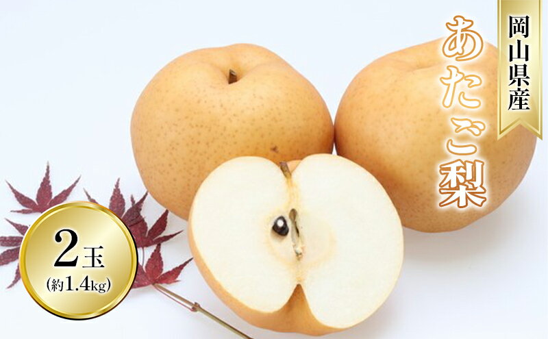 【ふるさと納税】梨 2025年 先行予約 あたご梨 2玉 青秀以上 (約1.4kg) 化粧箱入り　お届け：2025年11月中旬～2025年12月中旬 サムネイル2