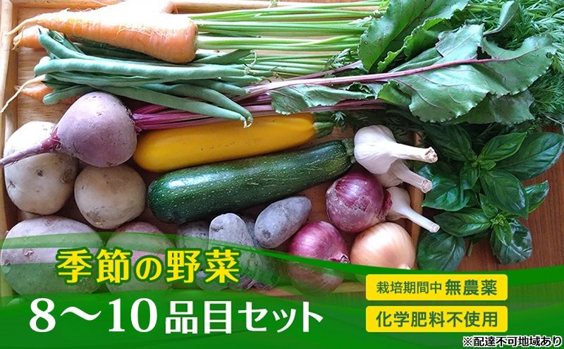 【ふるさと納税】季節の野菜 8～10品目 セット 栽培期間中 無農薬 化学肥料不使用 旬 野菜 岡山　お届け：2026年7月上旬～2027年1月下旬まで - 画像2