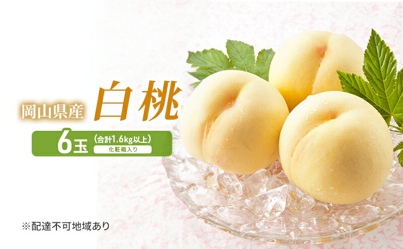 【ふるさと納税】桃 2026年 先行予約 岡山白桃 6玉 (1.6kg以上) 化粧箱入り もも モモ 岡山県産 国産 フルーツ 果物 セット ギフト　お届け：2026年7月上旬～2026年8月中旬 サムネイル2