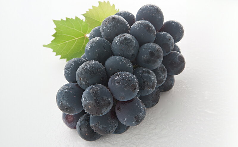 【ふるさと納税】ぶどう 2026年 先行予約 詰合/ニューピオーネ 1房(480g以上)・シャインマスカット 晴王 1房(480g以上) 化粧箱入り ブドウ 葡萄 岡山県産 国産 フルーツ 果物 ギフト　お届け：2026年8月下旬～2026年10月上旬 サムネイル3