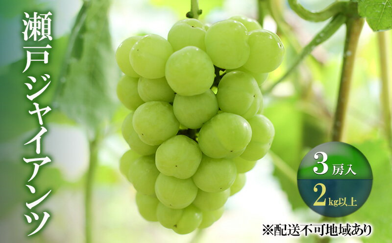 【ふるさと納税】ぶどう 【2025年 先行予約】 瀬戸ジャイアンツ 3房(合計2kg以上) ブドウ 葡萄 岡山県産 国産 フルーツ 果物 ギフト 河本農園　お届け：2026年9月上旬～2026年9月30日 サムネイル2