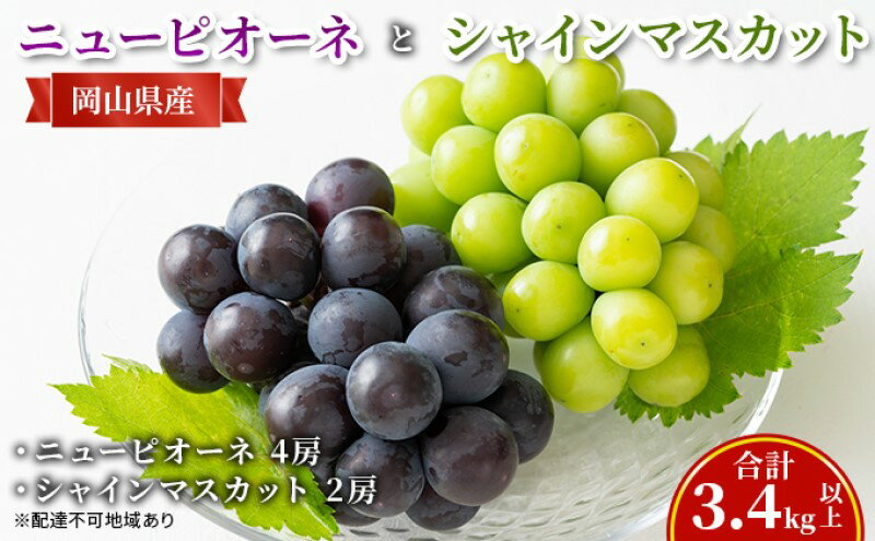 【ふるさと納税】ぶどう 【2026年 先行予約】 ニュー ピオーネ 4房と シャインマスカット 2房(合計3.4kg以上) マスカット ブドウ 葡萄　岡山県産 国産 フルーツ 果物 ギフト　お届け：2026年8月下旬～2026年10月上旬 サムネイル2