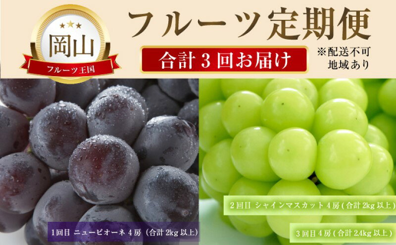 【ふるさと納税】ぶどう 【2026年 先行予約】 晴れの国 おかやま の フルーツ 定期便 葡萄 ニュー ピオーネ シャインマスカット 岡山県産 国産 セット ギフト　お届け：2026年8月下旬～2026年10月下旬 サムネイル2