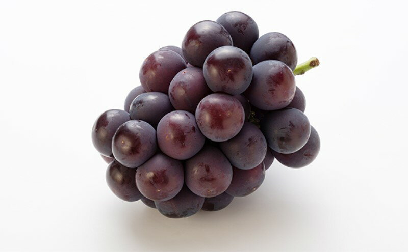 【ふるさと納税】ぶどう 【2026年 先行予約】 ニュー ピオーネ 4房 合計2kg以上 ブドウ 葡萄 岡山県産 国産 フルーツ 果物 ギフト　お届け：2026年8月下旬～2026年10月上旬 サムネイル3