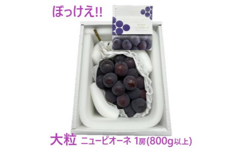 【ふるさと納税】ぶどう 2026年 先行予約 ぼっけえ 大粒 ニューピオーネ 1房(800g以上) 化粧箱入り ブドウ 葡萄 岡山県産 国産 フルーツ 果物 ギフト　お届け：2026年9月中旬～2026年10月中旬 サムネイル2