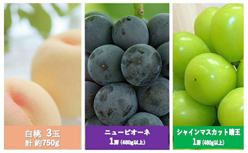 【ふるさと納税】フルーツ 定期便 2026年 先行予約 晴れの国 岡山 の 定期フルーツ定期便 3回コース 桃 もも 葡萄 ブドウ 岡山県産 国産 セット ギフト　お届け：2026年7月上旬～2026年9月下旬 サムネイル3