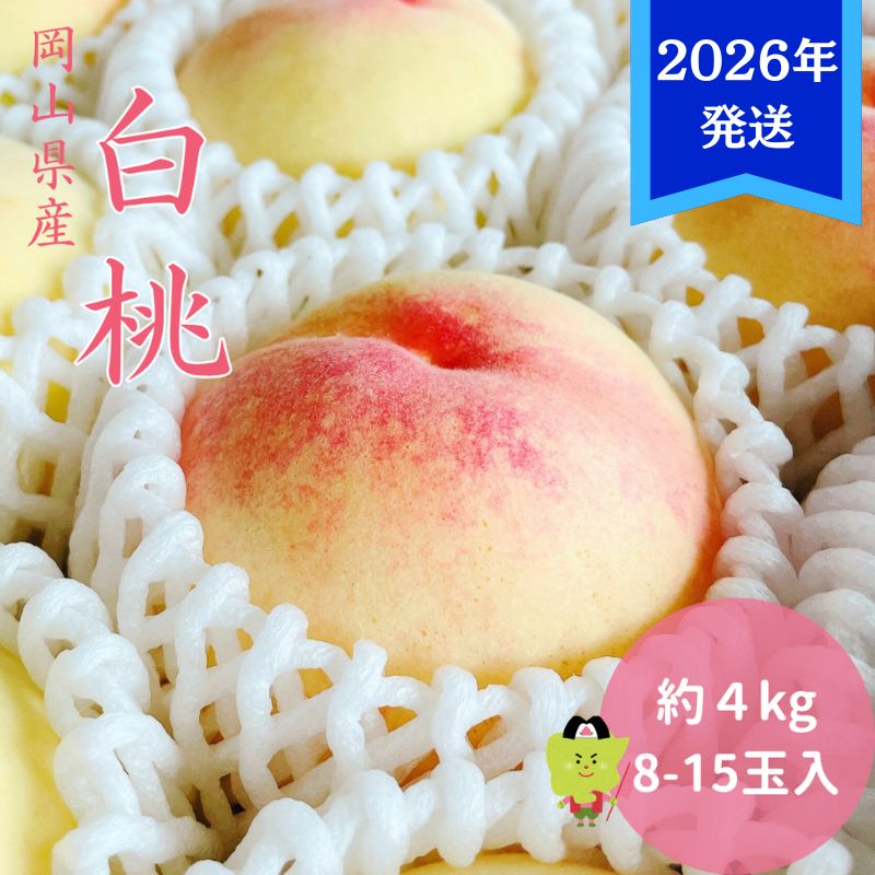 【ふるさと納税】【2026年先行受付】 白桃 岡山 秀品 大玉 約4kg(8～15玉) 岡山県産 桃 もも モモ 御中元 ギフト 御礼 プレゼント 御礼 御祝 御供 果物 くだもの フルーツ　お届け：2026年7月上旬～2026年8月上旬 サムネイル2