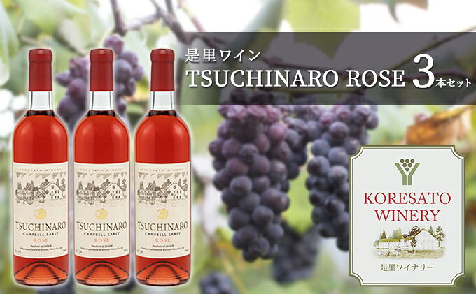 【ふるさと納税】是里 ワイン TSUCHINARO ROSE 3本 セット ワイン ぶどう 葡萄 お酒 果実酒 洋酒 岡山 赤磐市 サムネイル2