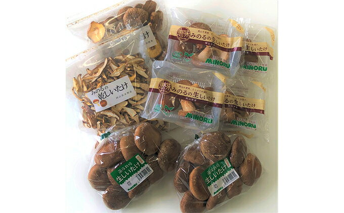 【ふるさと納税】生椎茸 ・ 乾燥椎茸 詰め合わせ セット 野菜 きのこ 椎茸 しいたけ 乾物 干し椎茸 干ししいたけ 野菜セット - 画像2