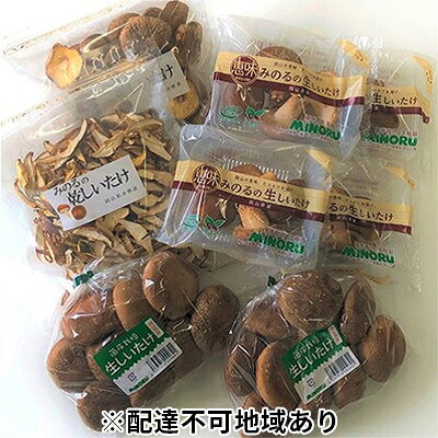 生椎茸 ・ 乾燥椎茸 詰め合わせ セット 野菜 きのこ 椎茸 しいたけ 乾物 干し椎茸 干ししいたけ 野菜セット