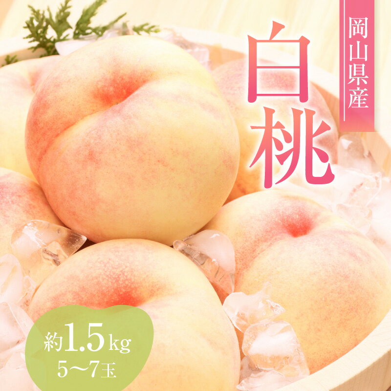桃 2026年 先行予約 赤磐の 白桃 約1.5kg 5～7玉 JA晴れの国 糖度センサー選果 もも モモ 岡山県 赤磐市産 国産 フルーツ 果物 ギフト デザート 果肉 　お届け：2026年7月上旬～2026年8月上旬
