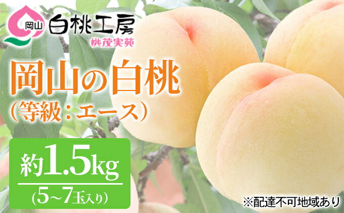 【ふるさと納税】桃 2026年 先行予約 白桃 等級 エース 約1.5kg 5～7玉入り もも モモ 岡山 国産 フルーツ 果物 桃茂実苑 果肉 　お届け：2026年6月中旬～2026年8月中旬 サムネイル2