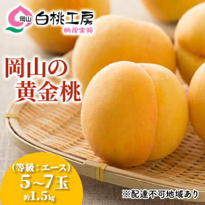 桃 2026年 先行予約 黄金桃 等級 エース 約1.5kg 5～7玉入り もも モモ 岡山 国産 フルーツ 果物 桃茂実苑 果肉 　お届け：2026年8月中旬～2026年9月上旬