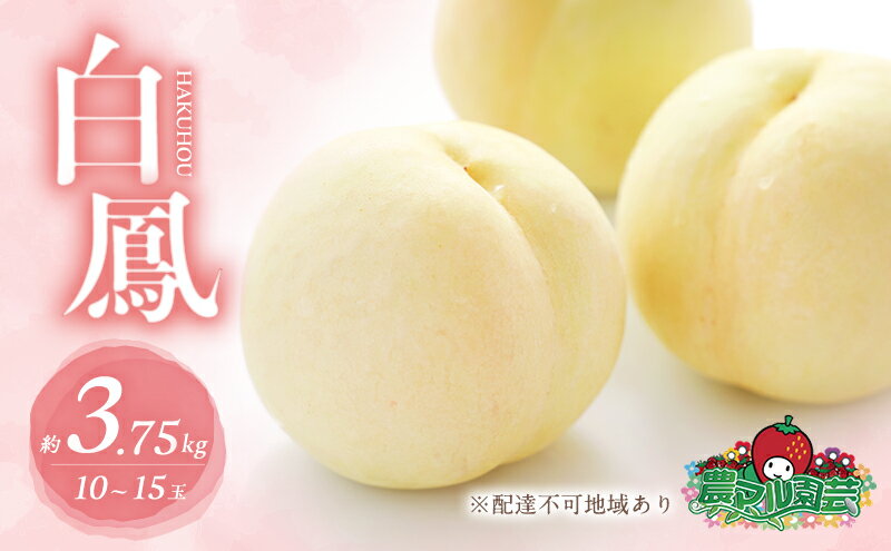 【ふるさと納税】桃 2026年 先行予約 白桃 白鳳 約3.75kg 10～15玉 進物用 もも モモ フルーツ 果物 岡山 赤磐市産 農マル園芸 あかいわ農園 家庭用 　お届け：2026年7月上旬～2026年7月下旬 サムネイル2