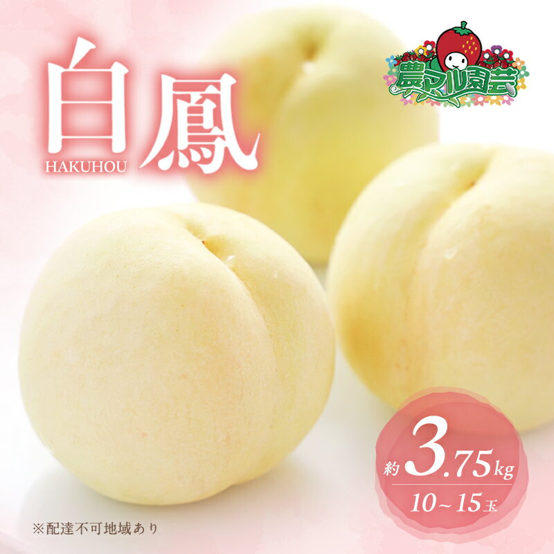 桃 2026年 先行予約 白桃 白鳳 約3.75kg 10～15玉 進物用 もも モモ フルーツ 果物 岡山 赤磐市産 農マル園芸 あかいわ農園 家庭用 　お届け：2026年7月上旬～2026年7月下旬