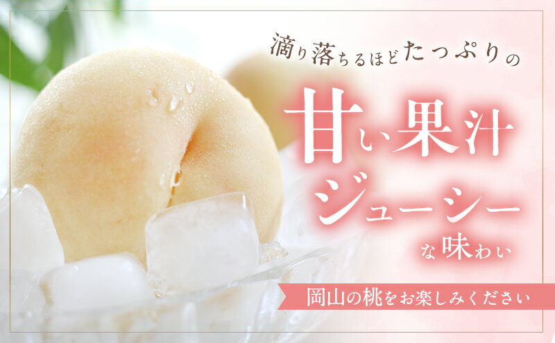 【ふるさと納税】桃 2026年 先行予約 白桃 白鳳 約3.75kg 10～15玉 進物用 もも モモ フルーツ 果物 岡山 赤磐市産 農マル園芸 あかいわ農園 家庭用 　お届け：2026年7月上旬～2026年7月下旬 サムネイル3