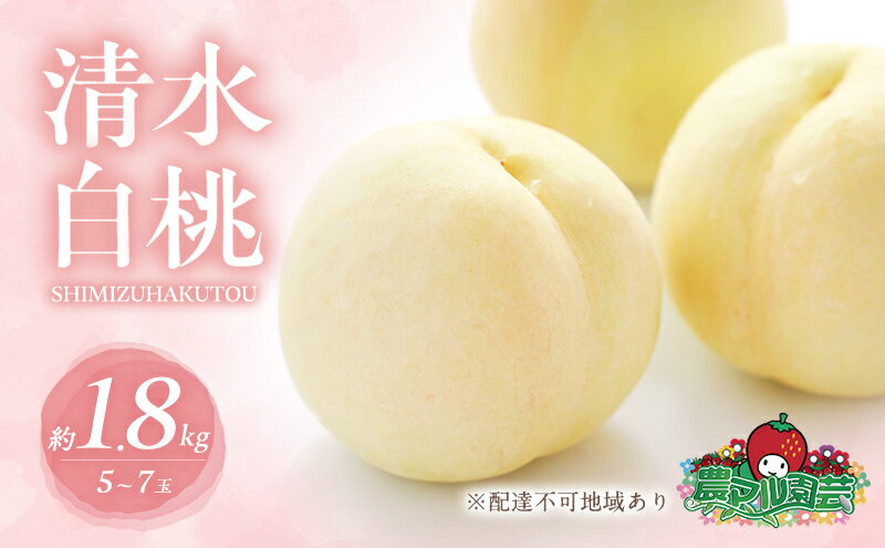 【ふるさと納税】桃 2026年 先行予約 清水 白桃 約1.8kg 5～7玉 進物用 もも モモ フルーツ 果物 岡山 赤磐市産 農マル園芸 あかいわ農園 家庭用 　お届け：2026年7月中旬～2026年8月中旬 サムネイル2