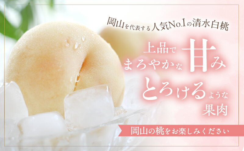 【ふるさと納税】桃 2026年 先行予約 清水 白桃 約1.8kg 5～7玉 進物用 もも モモ フルーツ 果物 岡山 赤磐市産 農マル園芸 あかいわ農園 家庭用 　お届け：2026年7月中旬～2026年8月中旬 サムネイル3