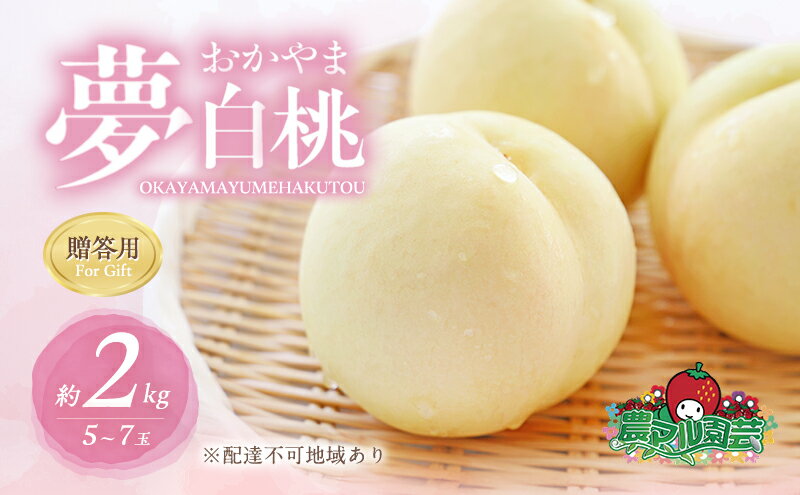 【ふるさと納税】桃 2026年 先行予約 おかやま 夢 白桃 約2kg 5～7玉 贈答用 もも モモ フルーツ 果物 岡山 赤磐市産 農マル園芸 あかいわ農園　お届け：2026年7月中旬～2026年8月下旬 サムネイル2