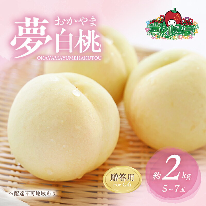 桃 2026年 先行予約 おかやま 夢 白桃 約2kg 5～7玉 贈答用 もも モモ フルーツ 果物 岡山 赤磐市産 農マル園芸 あかいわ農園　お届け：2026年7月中旬～2026年8月下旬