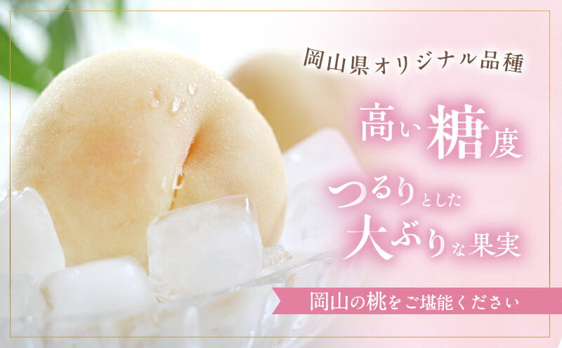 【ふるさと納税】桃 2026年 先行予約 おかやま 夢 白桃 約2kg 5～7玉 贈答用 もも モモ フルーツ 果物 岡山 赤磐市産 農マル園芸 あかいわ農園　お届け：2026年7月中旬～2026年8月下旬 サムネイル3