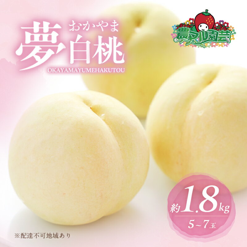 桃 2026年 先行予約 おかやま 夢 白桃 約1.8kg 5～7玉 進物用 もも モモ フルーツ 果物 岡山 赤磐市産 農マル園芸 あかいわ農園 家庭用 　お届け：2026年7月中旬～2026年8月下旬