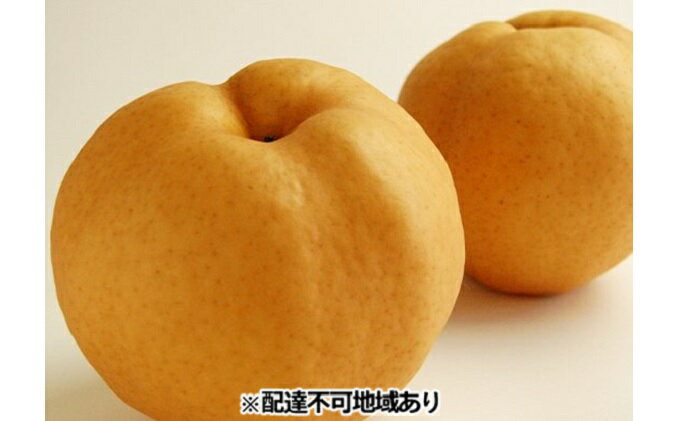 【ふるさと納税】梨 早期受付 岡山 の あたご 梨 3～8玉 合計2kg以上 なし ナシ 岡山県産 国産 フルーツ 果物 ギフト桃茂実苑 　お届け：2025年12月中旬～2025年12月下旬 サムネイル2