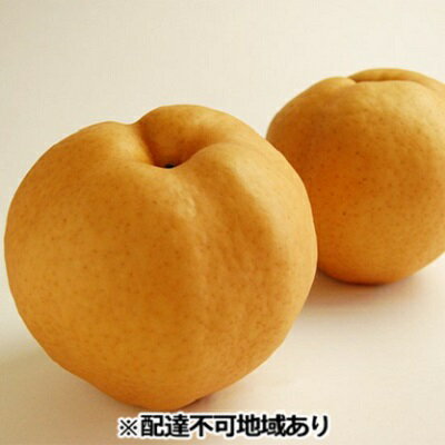 梨 早期受付 岡山 の あたご 梨 3～8玉 合計2kg以上 なし ナシ 岡山県産 国産 フルーツ 果物 ギフト桃茂実苑 　お届け：2025年12月中旬～2025年12月下旬