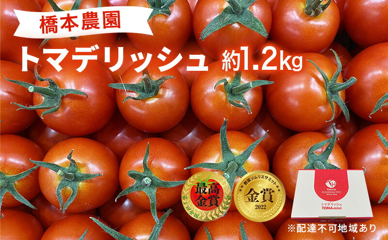 【ふるさと納税】 フルーツ トマト ［2026年先行予約］ トマデリッシュ 約1.2kg 橋本農園 岡山 野菜 高糖度 旨味 弾力 果実 甘い サラダ そのまま 岡山県産 緑黄色野菜 　お届け：2026年3月中旬～2026年6月上旬 - 画像2