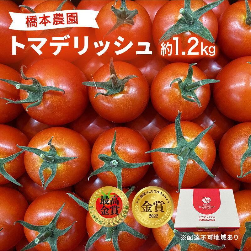 フルーツ トマト ［2026年先行予約］ トマデリッシュ 約1.2kg 橋本農園 岡山 野菜 高糖度 旨味 弾力 果実 甘い サラダ そのまま 岡山県産 緑黄色野菜 　お届け：2026年3月中旬～2026年6月上旬