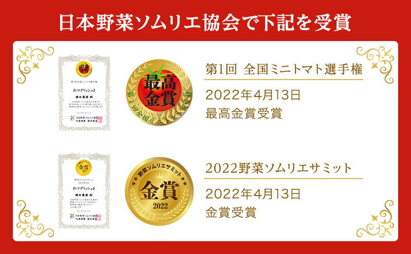 【ふるさと納税】 フルーツ トマト ［2026年先行予約］ トマデリッシュ 約1.2kg 橋本農園 岡山 野菜 高糖度 旨味 弾力 果実 甘い サラダ そのまま 岡山県産 緑黄色野菜 　お届け：2026年3月中旬～2026年6月上旬 - 画像3