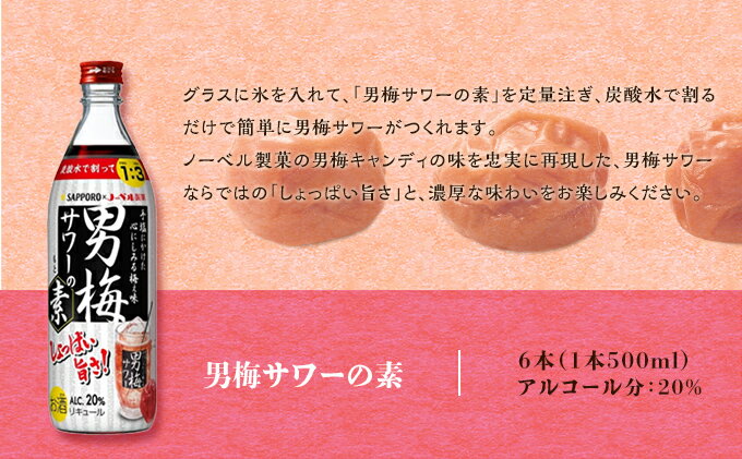 【ふるさと納税】サッポロ 男梅サワー の素 6本（1本500ml） 男梅 サワー 梅味 お酒 原液 家飲み 宅飲み 晩酌 割りもの しょっぱい旨さ 濃厚な味わい サムネイル3