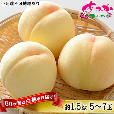 桃 2026年 先行予約 6月の旬な 白桃 をお届け！約1.5kg 5～7玉 もも モモ 岡山県 赤磐市産 国産 フルーツ 果物 ギフト あみかフルーツ 岡山の桃 旬のフルーツ 柔らかい ジューシー 産地直送 旬の桃 　お届け：2026年6月中旬～2026年6月下旬